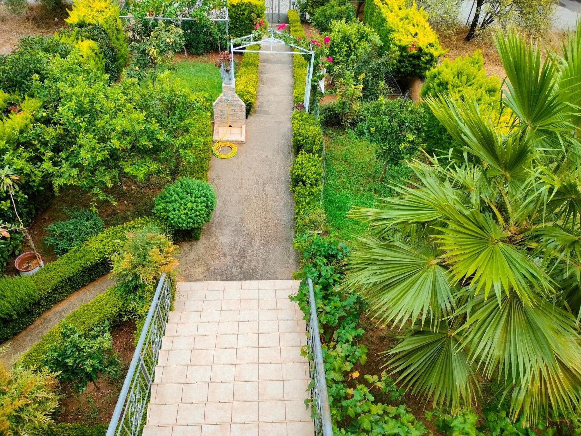 House With Wonderful View Apartment Lefkandi Chalkidas Exterior photo