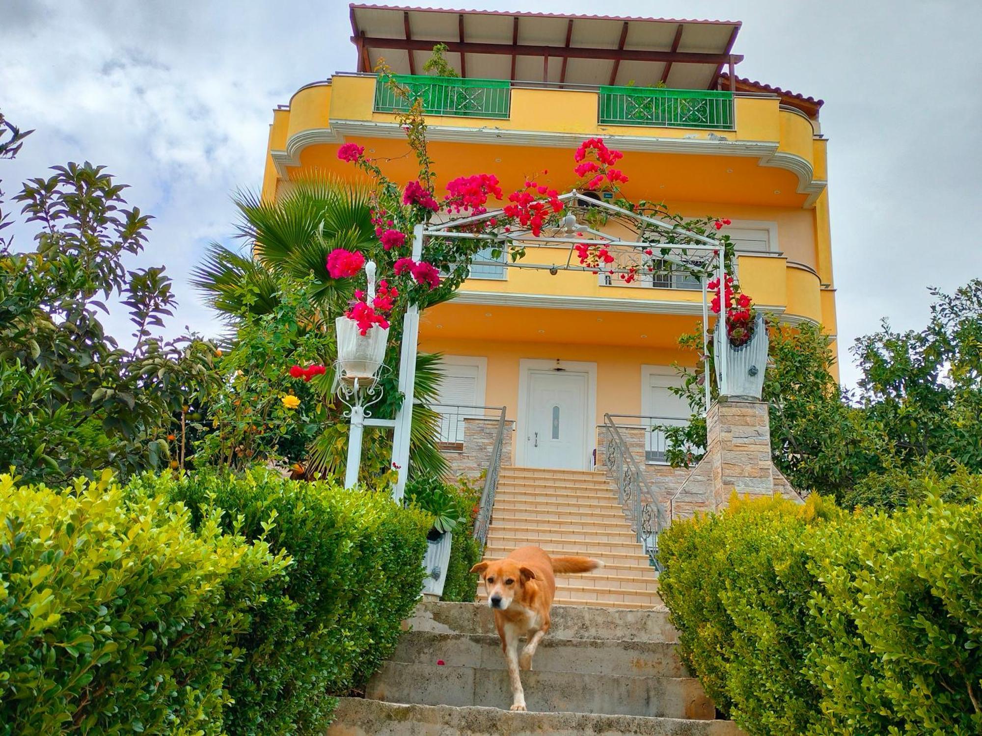 House With Wonderful View Apartment Lefkandi Chalkidas Exterior photo